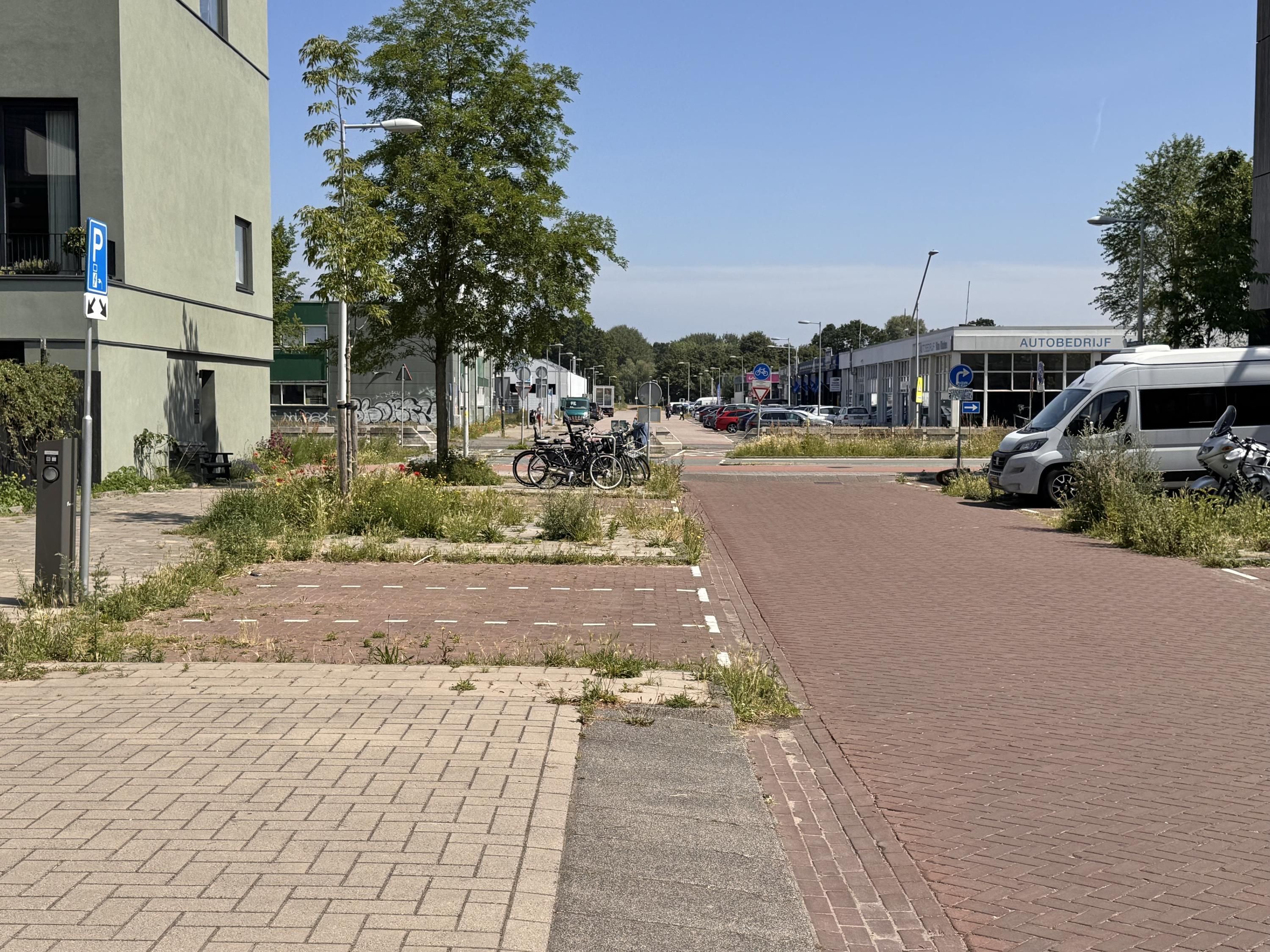 Kaasjeskruidstraat 48 – foto 34 van 36